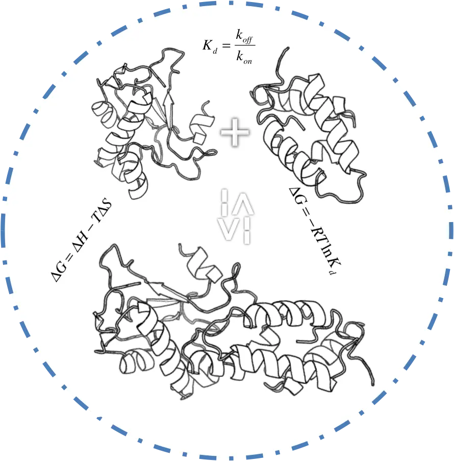 CSBPortal